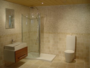 Small Glass Shower  